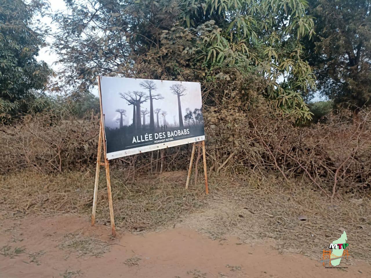 Allée des Baobabs Morondava